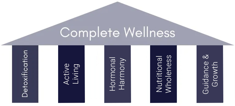 The Five Cornerstones of Holistic Health